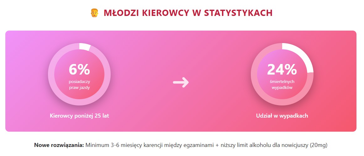 mlodzi kierowcyw statystykach